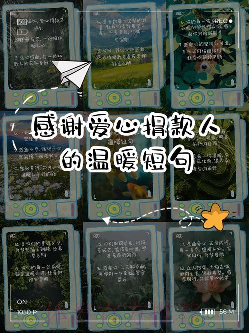 贝林厄姆:感谢为我投票和一路支持我的人 贝林厄姆:感谢为我投票和一路支持我的人